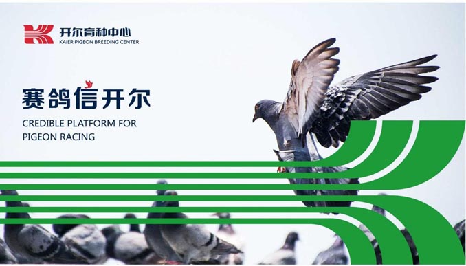 開(kāi)爾鴿業(yè)品牌全案服務(wù)