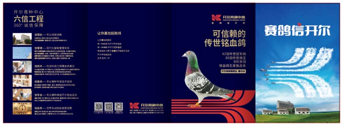 開(kāi)爾鴿業(yè)品牌全案服務(wù)