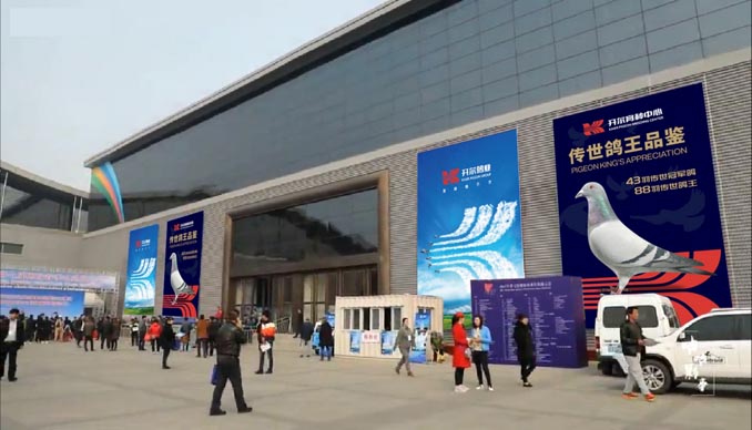 開(kāi)爾鴿業(yè)品牌全案服務(wù)