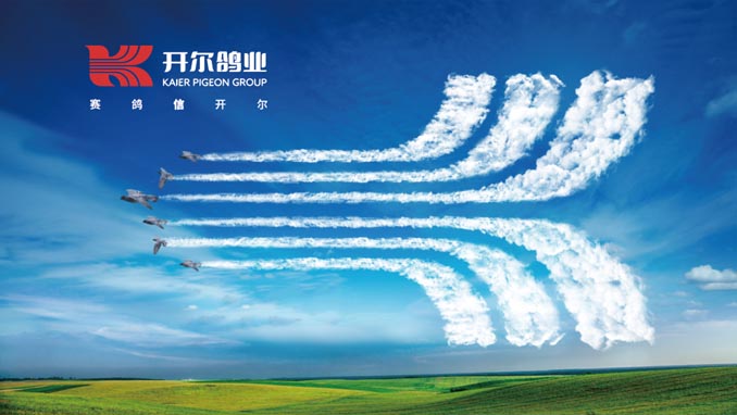 開(kāi)爾鴿業(yè)品牌全案服務(wù)