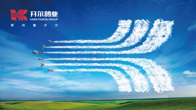 開(kāi)爾鴿業(yè)品牌全案服務(wù)
