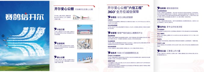 開(kāi)爾鴿業(yè)品牌全案服務(wù)