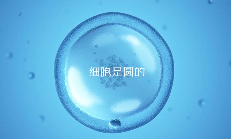 中至生物：大道至簡·品牌百萬級(jí)LOGO升級(jí)引爆品牌氣質(zhì)！