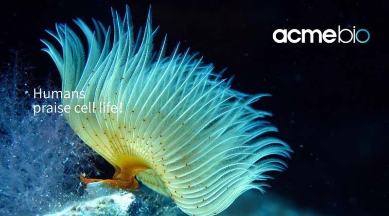 中至生物：大道至簡·品牌百萬級(jí)LOGO升級(jí)引爆品牌氣質(zhì)！