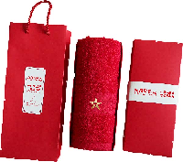 大將軍陶瓷全案：戰(zhàn)略落地一年，招商200+，金額破億元